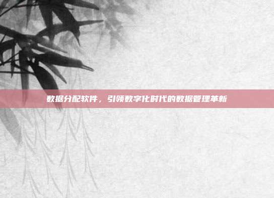 数据分配软件,引领数字化时代的数据管理革新