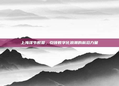 上海泽节数据,引领数字化浪潮的前沿力量