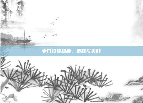 专门投资组合，策略与实践