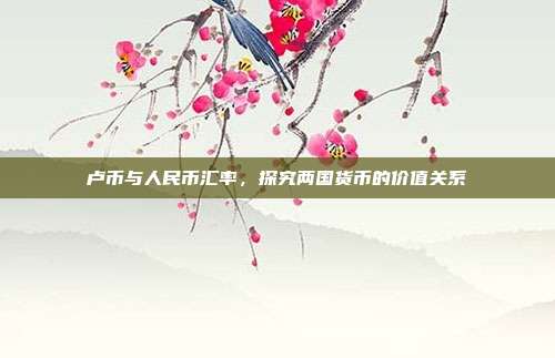 卢币与人民币汇率,探究两国货币的价值关系