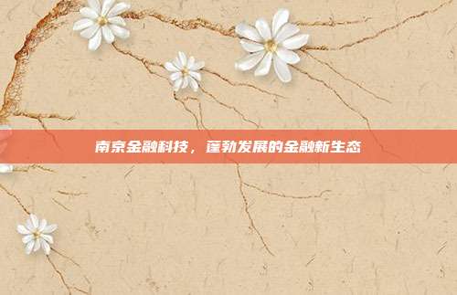 南京金融科技,蓬勃发展的金融新生态