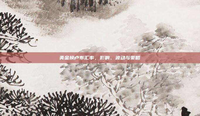 美金换卢布汇率,影响、波动与策略