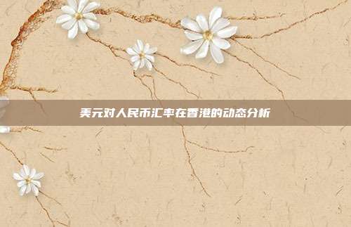 美元对人民币汇率在香港的动态分析