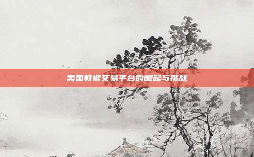 美国数据交易平台的崛起与挑战