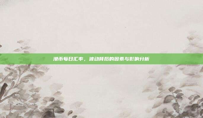 港币每日汇率,波动背后的因素与影响分析