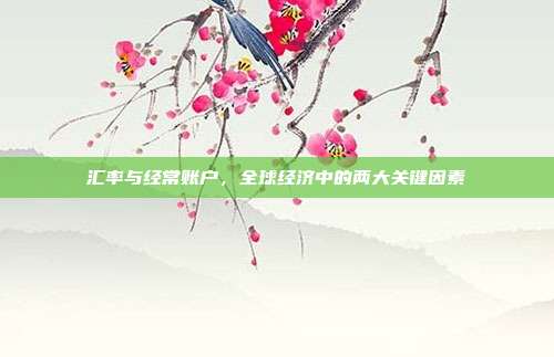 汇率与经常账户,全球经济中的两大关键因素
