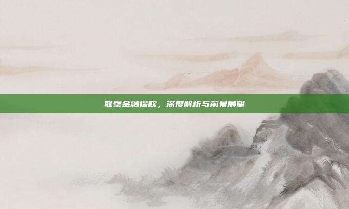 联璧金融提款，深度解析与前景展望