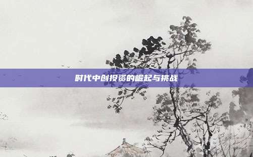 时代中创投资的崛起与挑战