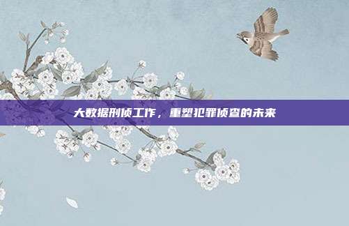 大数据刑侦工作，重塑犯罪侦查的未来