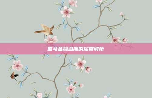 宝马金融逾期的深度解析