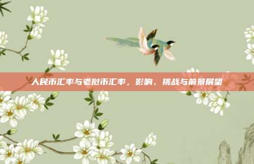 人民币汇率与老挝币汇率,影响、挑战与前景展望