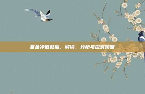 基金净值数据，解读、分析与应对策略