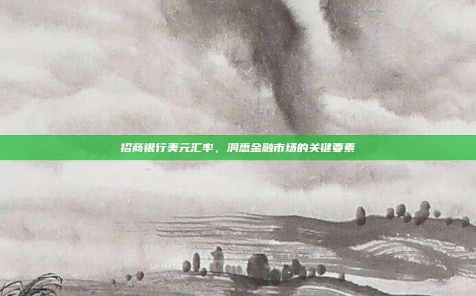 招商银行美元汇率,洞悉金融市场的关键要素