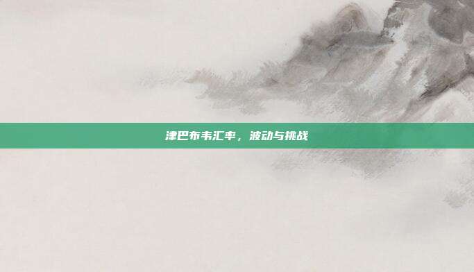 津巴布韦汇率，波动与挑战