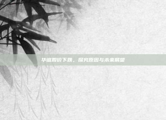 华谊股价下跌，探究原因与未来展望