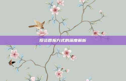 投资回报方式的深度解析