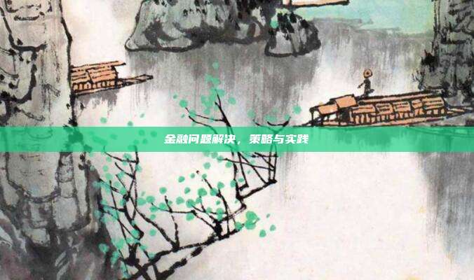金融问题解决,策略与实践