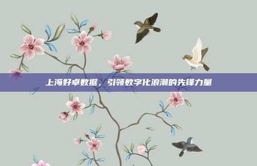 上海好卓数据，引领数字化浪潮的先锋力量