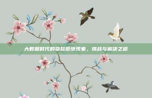 大数据时代的贷款拒绝现象,挑战与解决之道