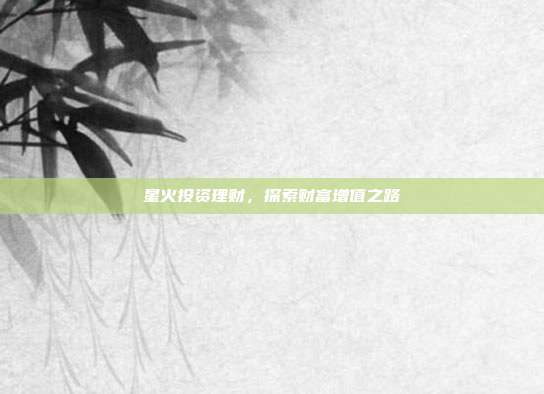 星火投资理财,探索财富增值之路