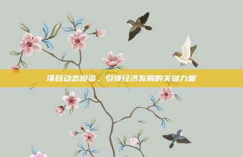 项目动态投资,引领经济发展的关键力量