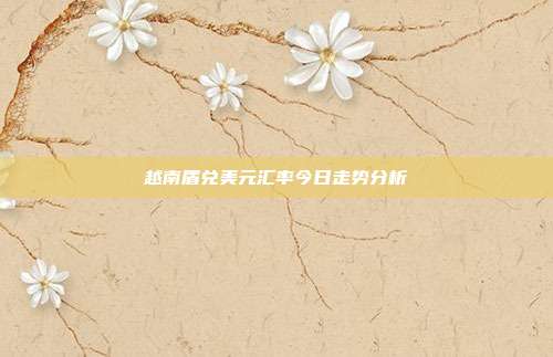 越南盾兑美元汇率今日走势分析