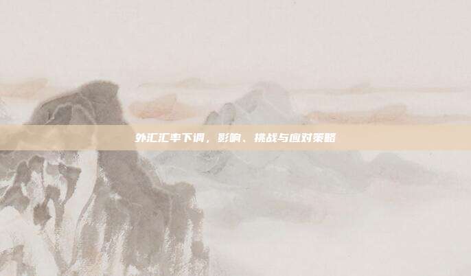 外汇汇率下调,影响、挑战与应对策略