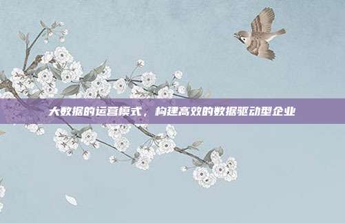大数据的运营模式,构建高效的数据驱动型企业