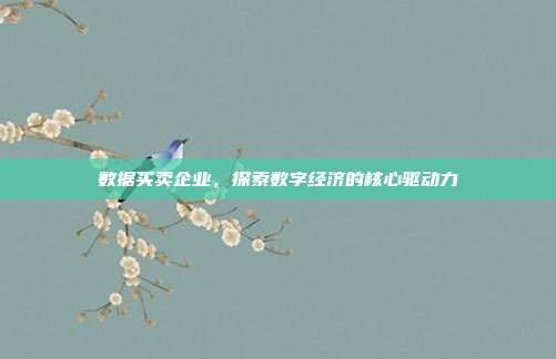 数据买卖企业，探索数字经济的核心驱动力