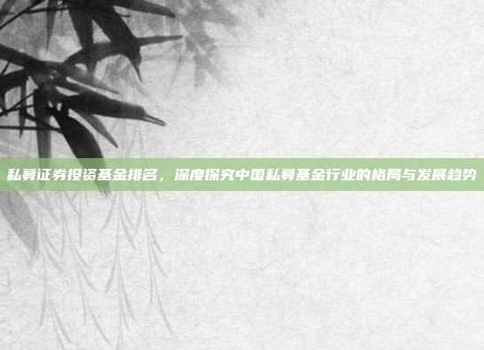 私募证券投资基金排名，深度探究中国私募基金行业的格局与发展趋势