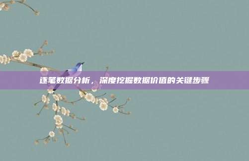 逐笔数据分析,深度挖掘数据价值的关键步骤
