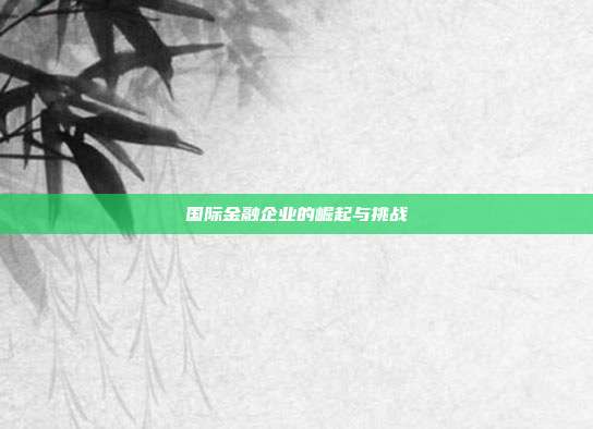 国际金融企业的崛起与挑战