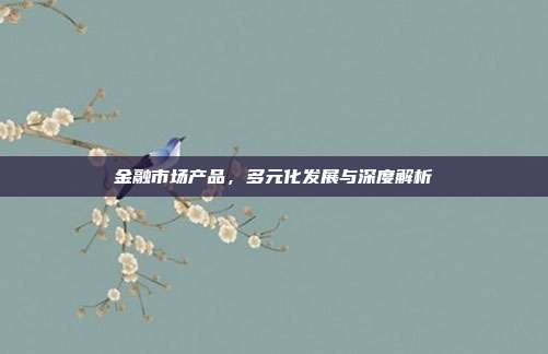 金融市场产品,多元化发展与深度解析