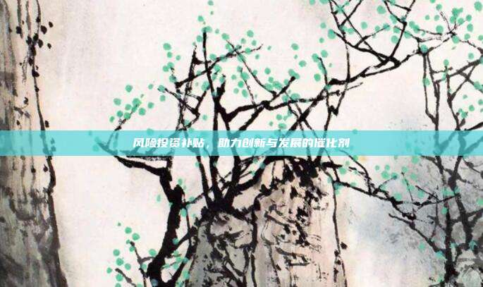 风险投资补贴,助力创新与发展的催化剂