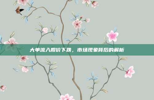 大单流入股价下跌,市场现象背后的解析