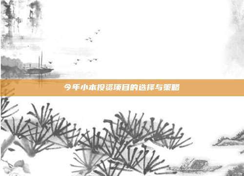 今年小本投资项目的选择与策略