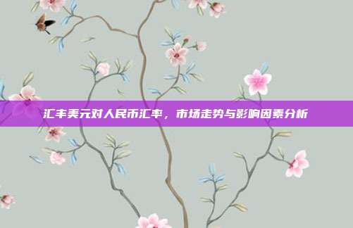 汇丰美元对人民币汇率,市场走势与影响因素分析