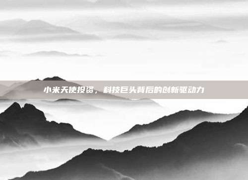 小米天使投资，科技巨头背后的创新驱动力
