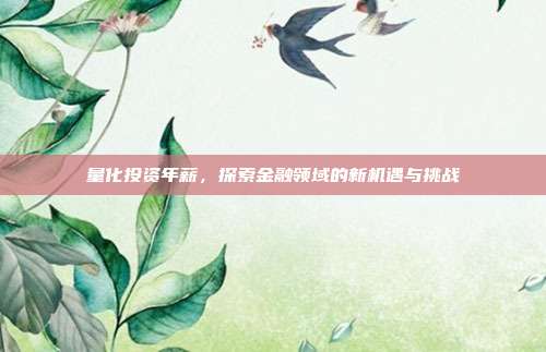 量化投资年薪，探索金融领域的新机遇与挑战