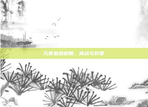 万惠金融逾期,挑战与对策