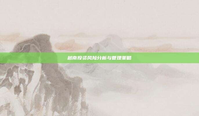 越南投资风险分析与管理策略