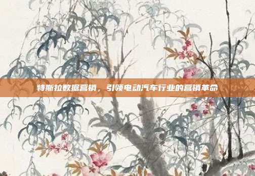 特斯拉数据营销,引领电动汽车行业的营销革命