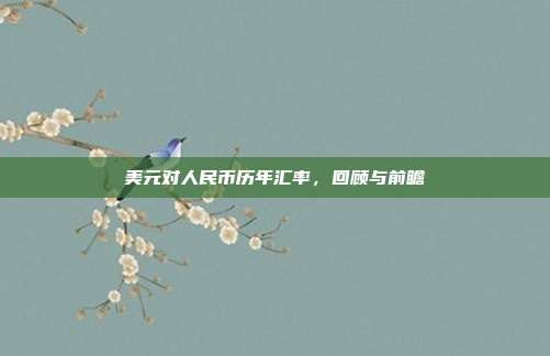 美元对人民币历年汇率,回顾与前瞻