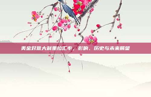 美金对意大利里拉汇率,影响、历史与未来展望