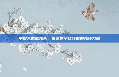 中国大数据龙头,引领数字化转型的先锋力量