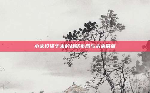 小米投资华米的战略布局与未来展望