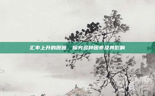 汇率上升的原因,探究多种因素及其影响