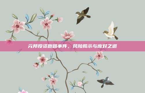 元邦投资跑路事件,风险揭示与应对之道