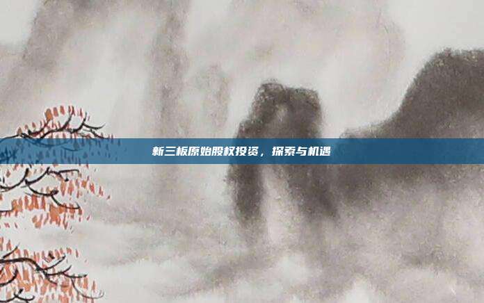 新三板原始股权投资,探索与机遇