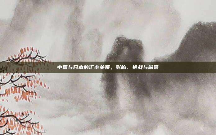 中国与日本的汇率关系，影响、挑战与前景